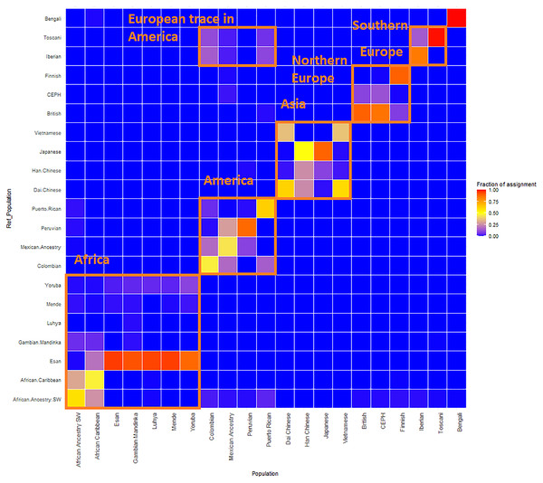 ReAdmix assignment matrix heatmap.