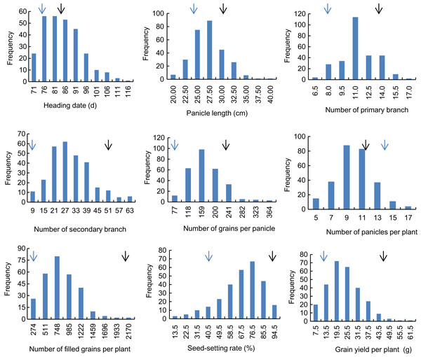 Frequency distribution of the nine panicle-related traits in 2015.