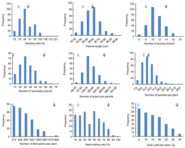 Frequency distribution of the nine panicle-related traits in 2016.