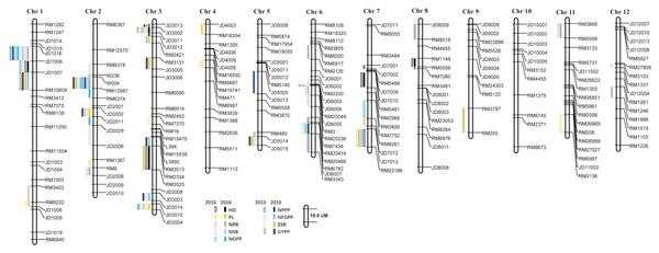 QTLs for panicle-related traits by PCR-based linkage map in 2015 and 2016.