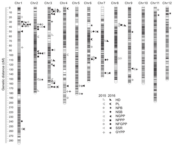 QTLs for panicle-related traits by high-density linkage map in 2015 and 2016.