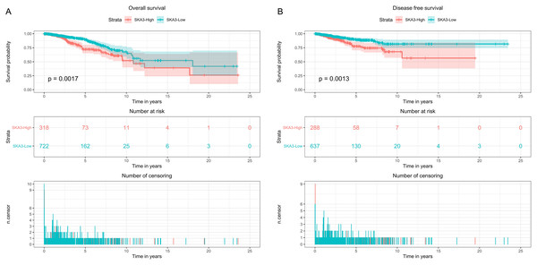 Kaplan–Meier survival analysis curve of SKA3 expression in breast cancer.