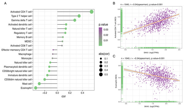 Association analysis of SKA3 gene expression and immune infiltration.