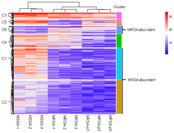 Cluster analysis of the DE endogenous peptidome between MSSA and MRSA.