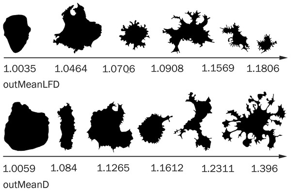 Cell morphology corresponding to the different values of outMeanD and outMeanLFD parameters.