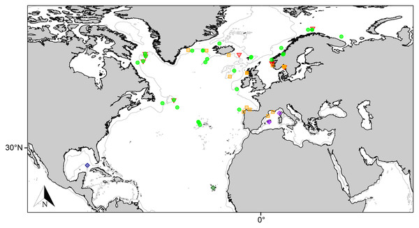 Distribution map for north Atlantic Melonanchora species.