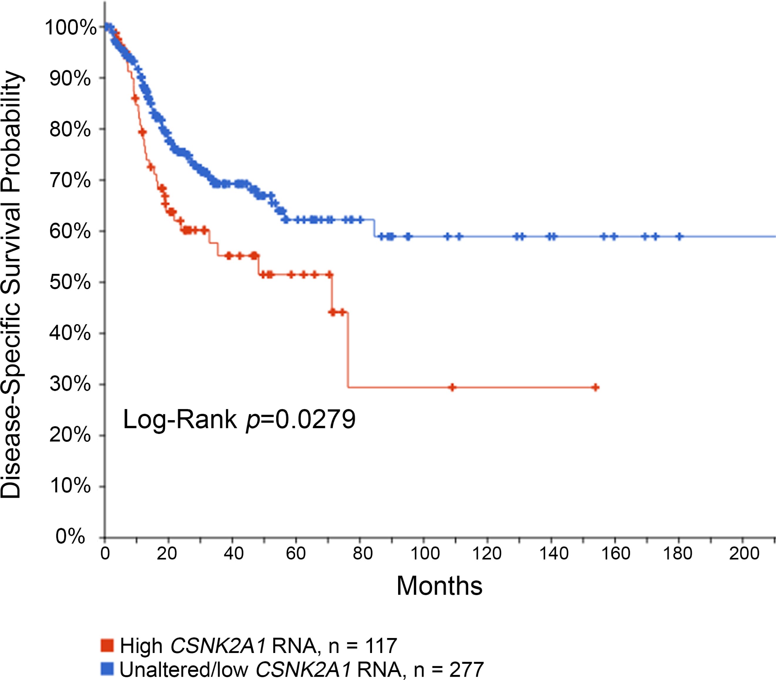 Identification Of High Protein Kinase Ck2α In Hpv Oropharyngeal Squamous Cell Carcinoma And 