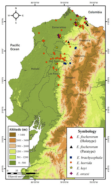 Map of distribution of species of Echinosaura in Ecuador.