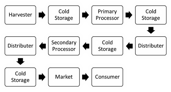 Generalized seafood value chain depicting frozen, processed seafood being sold in a different state, province or country than where it was landed.