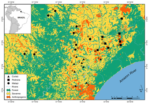 Distribution of the study sites across an Amazonian savanna landscape in Amapá, Brazil. The distribution of the sites by watersheds is as follows: Curiaú (sites 1 to 9), Pedreiras (sites 10 to 18), and Matapi (sites 19 to 16).