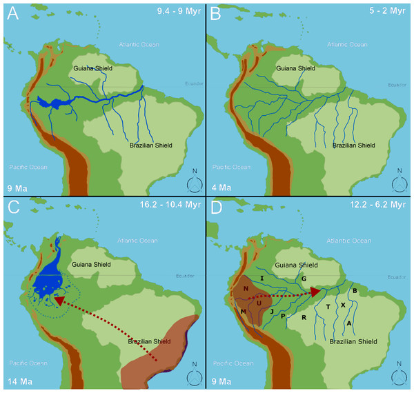 The biogeographical pattern for formation of the Amazon basin.