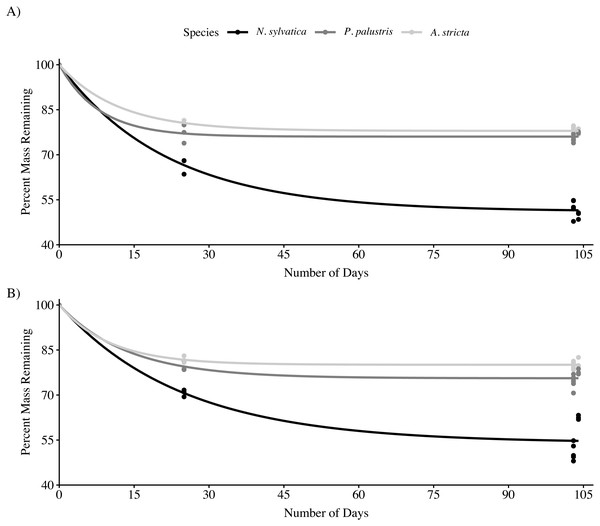 Mass loss for Longleaf Pine (Pinus palustris), Pineland Threeawn Grass (Aristida stricta), and Black Gum (Nyssa sylvatica) measured in three pine flatwoods wetlands on Eglin Air Force Base.