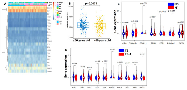 Expression levels of the core components of the mammalian circadian clock (CCMCCs) in prostate cancer and its correlation with clinical factors.