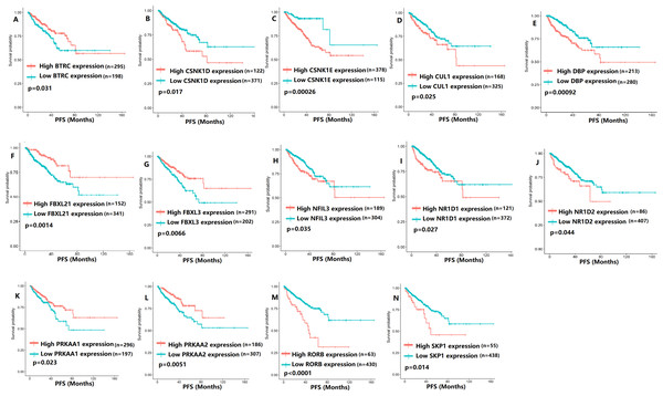 The expression levels of 14 circadian clock-related genes were related to progression-free survival (PFS).