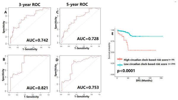 Validation of proposed circadian clock-based risk score model in disease-free survival (DFS) prediction by receiver-operator characteristic (ROC) analyses.