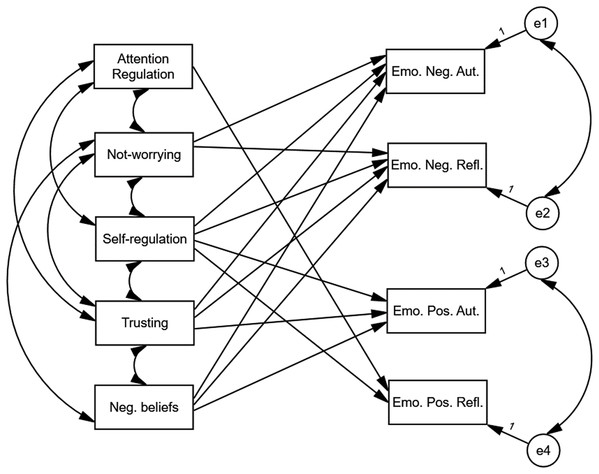 The preliminary model of relationships between different types of emotions, MATA’s scales and negative beliefs about health and body.