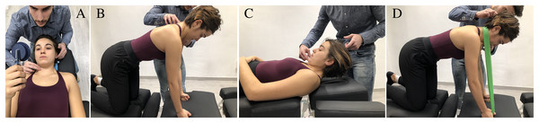 (A) Deep neck flexor. Subjects were instructed to “gently nod their head as though they were saying yes”. The physical therapist identified the target level that the subject could hold steadily for 10 s without use of the superficial neck flexor muscles using the craniocervical flexion test. Contribution from the superficial muscles was monitored using observation and palpation. Training was started at the target level the subject was able to achieve with a correct craniocervical flexion. The subjects were taught to perform a slow and controlled craniocervical flexion action. For each target level, the contraction lasted for 10 s, and the subject trained until able to perform 10 repetitions. At this stage, the exercise moved to the next target level16. (B) Deep neck extensors. The patient tucked their chin towards their chest slightly, and maintaining their chin in this position while gently extending their neck20. (C) Craniocervical flexion. Subjects were instructed to initiate the movement with a deep neck flexor contraction. Then they flexed the whole cervical column by lifting the head off the table7. (D) Extensors with resistance. The exercise is performed in a way similar to exercise “B” adding an external resistance to increase the intensity of the exercise20.
