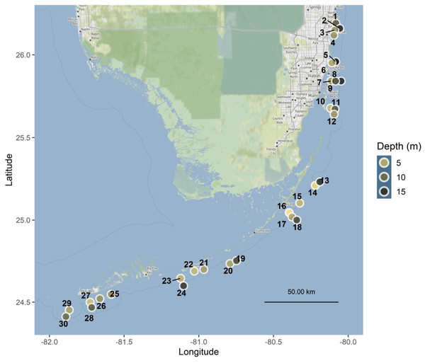 Map of Florida Reef Tract study sites.