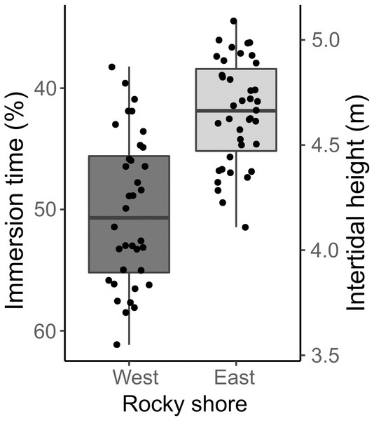 Percentage immersion time (%; left y axis) and intertidal height (m above LAT; right y axis) of quadrat samples on the West and East shores of Le Petit Minou.