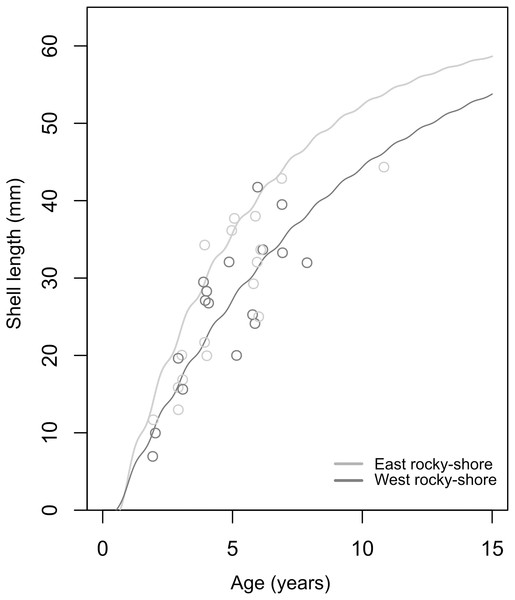 Estimated von Bertalanffy growth curves observed age-at-length data (circles) showing the concordance between estimations and observations.