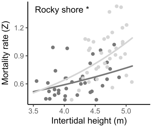 Relationship between instantaneous mortality rate (Z) and the intertidal height (m above LAT) of samples on the West (dark grey) and East (light grey) shores of Le Petit Minou.