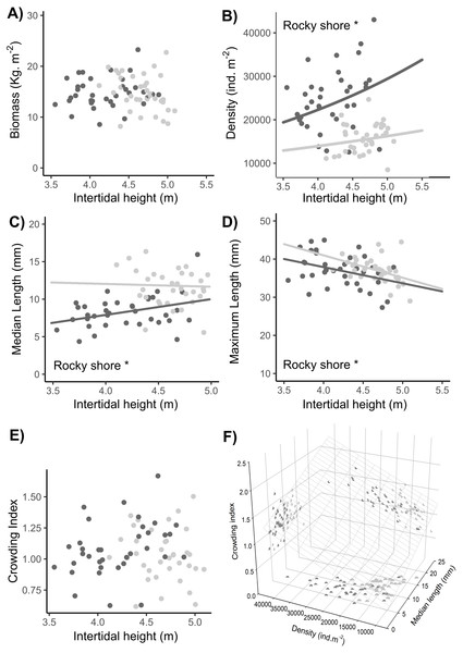 Relationships between intertidal height and population variables: (A) biomass, (B) density, (C) median length, (D) maximum length, and (E) crowding index. (F) Relationship of the crowding index with the median length and density of individuals.