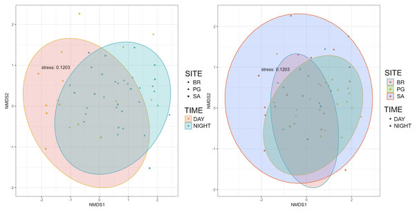 Multidimensional scaling plots showing the similarity of species composition grouped by site and time.
