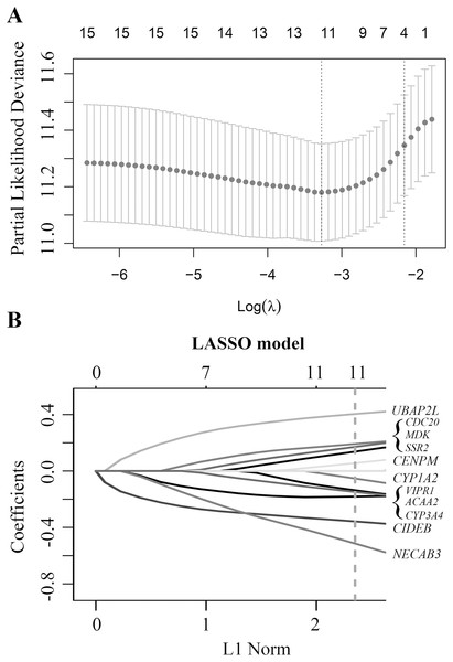 Construction of early relapse predictive model from GSE14520 cohort.