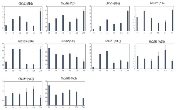qRT-PCR results of GhCalSs under PEG and NaCl.