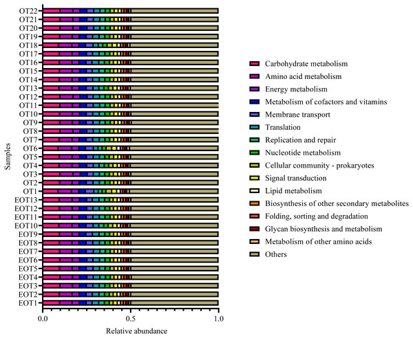 Predicted microbial functions using PICRUSt 2.