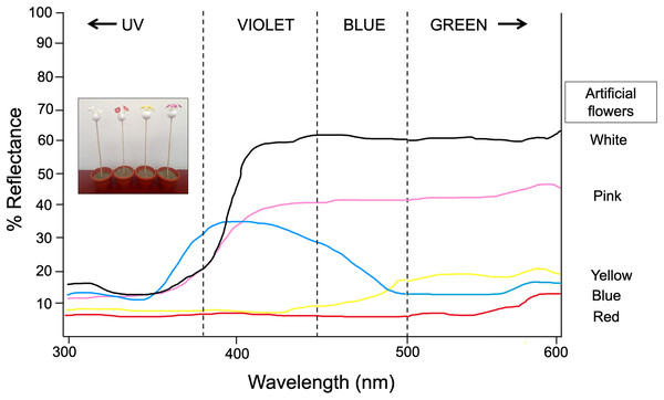 Spectral reflectance profiles for each colored artificial flower used in experiment 1 and 2.