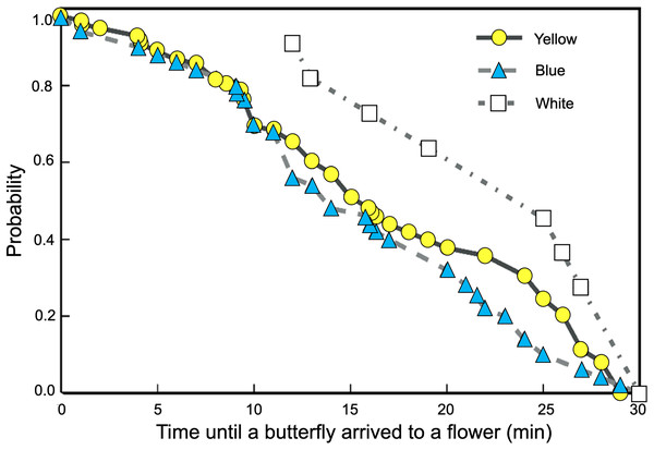 Butterflies learned to associate colored artificial flowers with a sucrose reward.