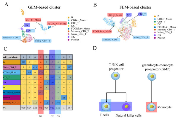 The comparison between GEM clustering (3A) and GO-based FEM clustering (3B) helps to find the similarities between immune cells.