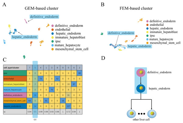 Comparison of GEM clustering (4A) and GO-based FEM clustering (4B) helps to find the similarities between liver cells.