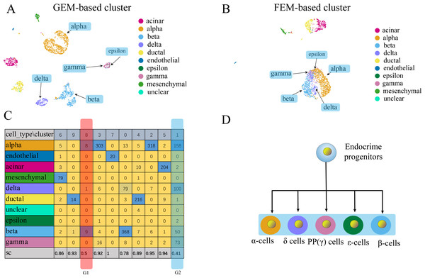 Comparison of GEM clustering (5A) and GO-based FEM clustering (5B) helps to find the similarities between pancreatic cells.