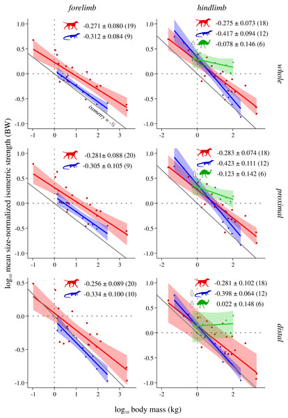 Mean size-normalized isometric strength v. body mass across extant terrestrial amniotes.