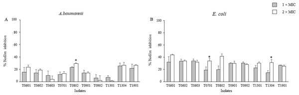 Effects of the lyophilized cell-free supernatants of Lactobacillus on the inhibition of biofilm formation by A. baumannii (A) and E. coli (B).