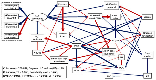 Structural equation modeling (SEM) for ammonia-oxidizing bacterial abundance, functional activity, and major community composition with key soil parameters.