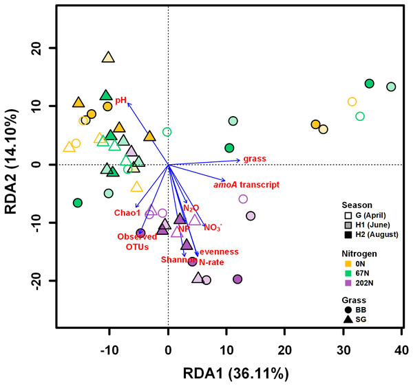 Redundancy analysis (RDA) of weighted-UniFrac distances between ammonia-oxidizing bacterial community structures (amoA OTU relative abundances).