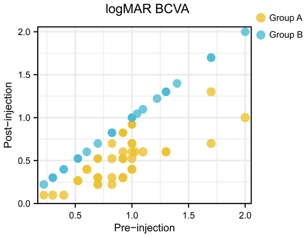 A scatter plot showing the logMAR BCVA at baseline and final examination for each patient.