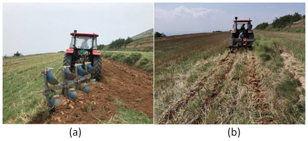 Field preparation at the experimental site of Shanxi Agricultural University.