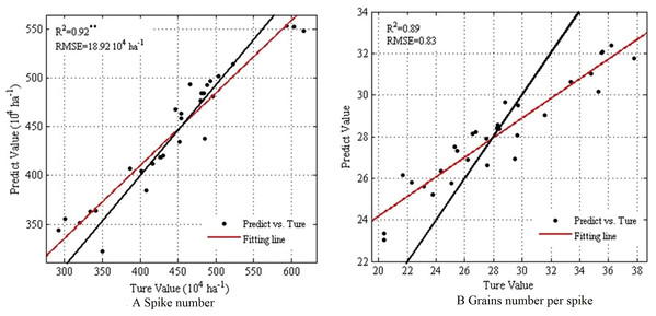 Comparing RF prediction results of spike number and grains number per spike.