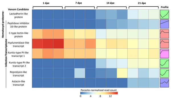 Heatmap of time-series expression of genes coding for the 8 VLCs, at 1, 7, 14 and 21-days post exposure (dpe).