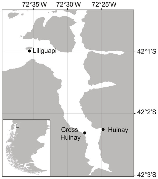 Map of Comau Fjord, located in North Patagonia, Los Lagos Region, Chile.