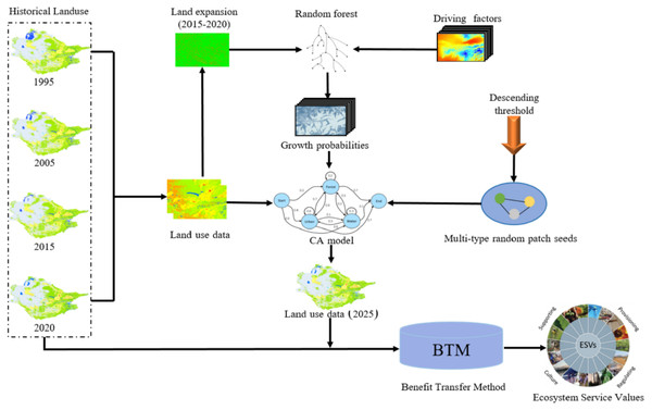 The framework of the PLUS-BTM-ESVs model.