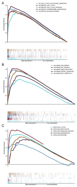 Gene set enrichment analysis (GSEA) for upregulated genes in the high HMMR expression group.
