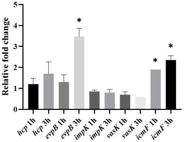 Expression of T6SS genes by APECO18 is enhanced post-infection of DF-1 cells.
