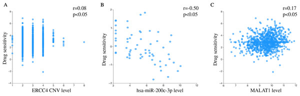 Drug sensitivity analysis of ERCC4, hsa-miR-200c-3p and MALAT1.