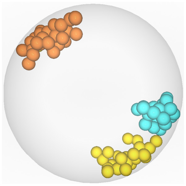 Visualization of the CTs farthest from chromosome 5′.