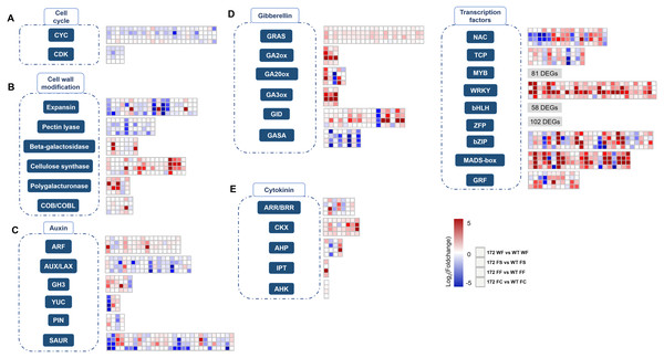 Overview of differentially expression pattern of selected genes.